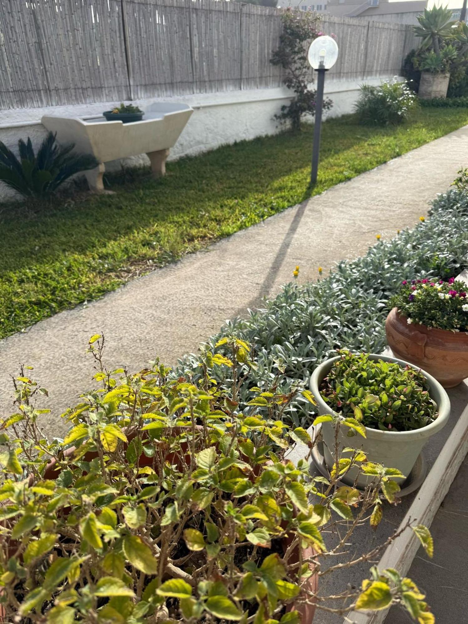 A Casa Di Coso B&B Марсала Екстериор снимка